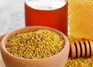 Arı Ekmeğinin Sağlığa Faydaları